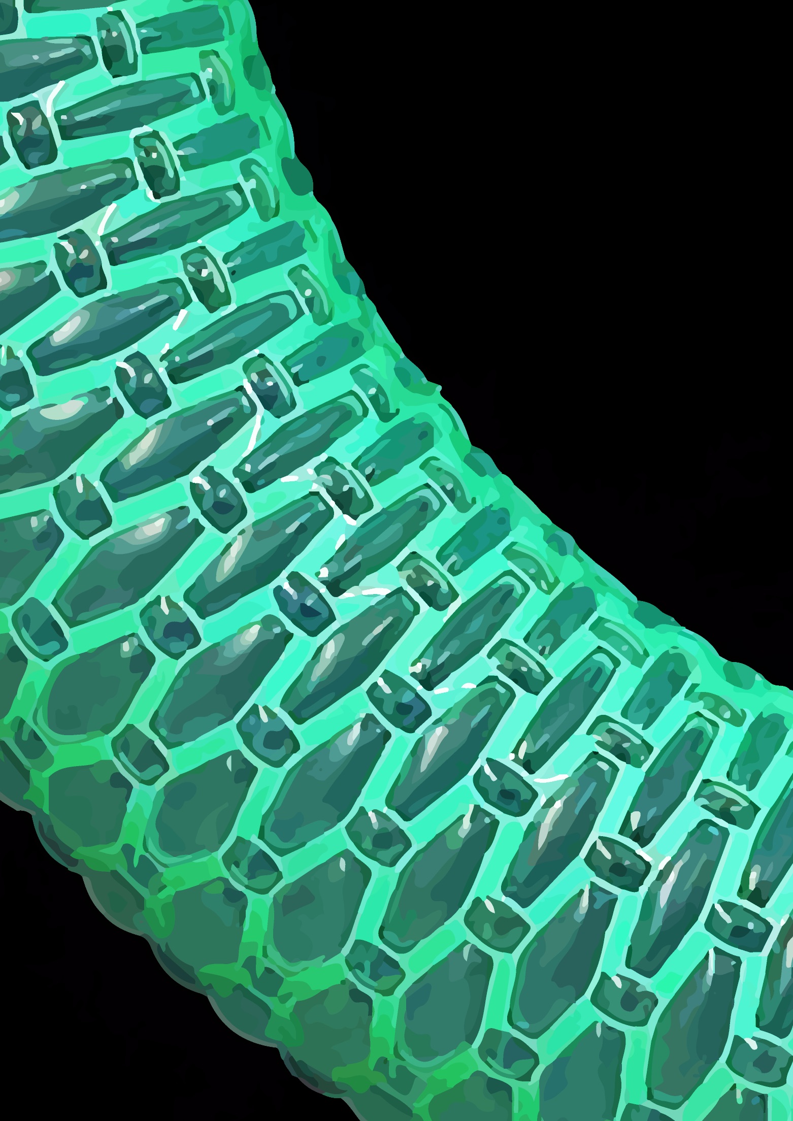 Programmable balloons pave the way for new shape-morphing devices