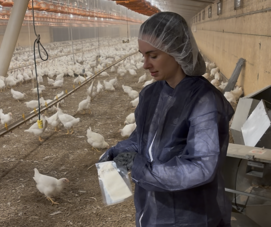 Harvard SEAS HBS alum Casey McGinley in a chicken coop