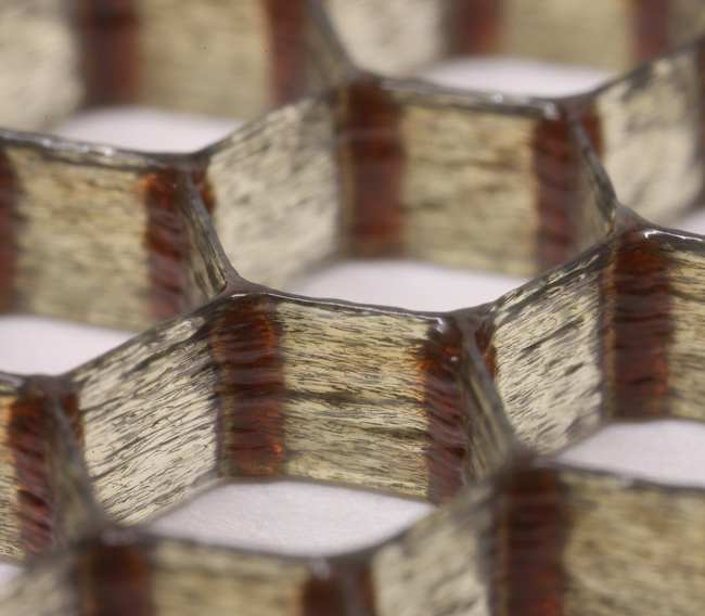 Carbon-fiber epoxy honeycombs mimic the material 