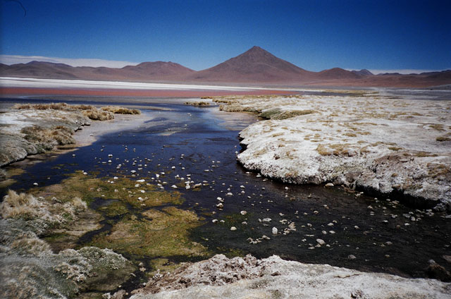 Archaea inhabit some of Earth’s most extreme environments, such as this salt lake in Bolivia. (Image courtesy of Ariel Amir/Havard SEAS)