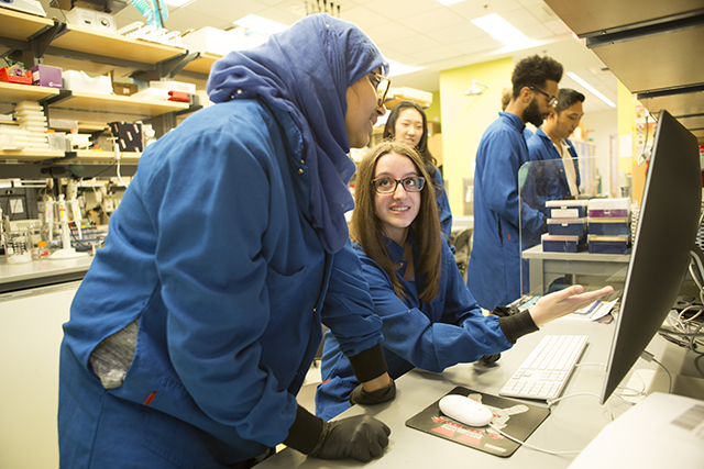 IGEM team members Tajrean Rahman, A.B. ’20, a history of science concentrator, and Jessica DeVilla, A.B. ’21, a bioengineering concentrator, collaborate on the team’s synthetic biology project. (Photo by Adam Zewe/SEAS Communications)