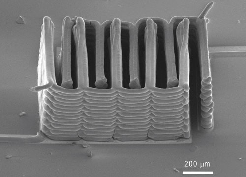 SEM of 3D-printed battery
