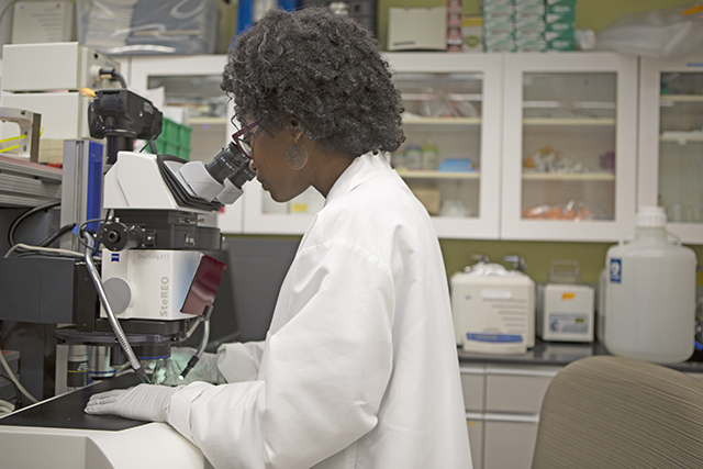 Sydney Reed, a rising senior at Mississippi State University, enjoyed exploring new laboratory technologies during the Research Experiences for Undergraduates program. (Photo by Adam Zewe/SEAS Communications)