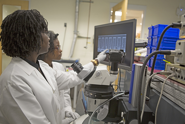 Renita Horton, Ph.D. ’14 (left) and Sydney Reed, an undergraduate at Mississippi State University, examine a sample in the lab of Kit Parker, Tarr Family Professor of Bioengineering and Applied Physics. (Photo by Adam Zewe/SEAS Communications)