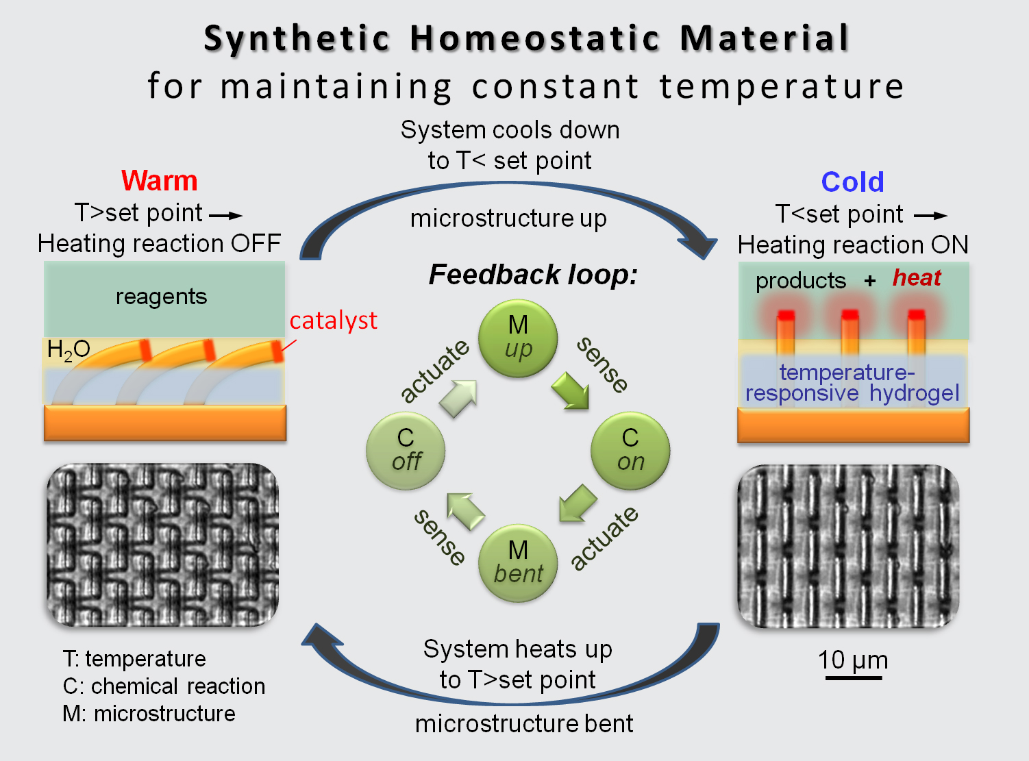 Smart materials презентация