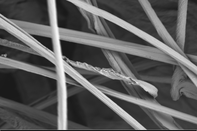 A close-up image of the nanofibers 