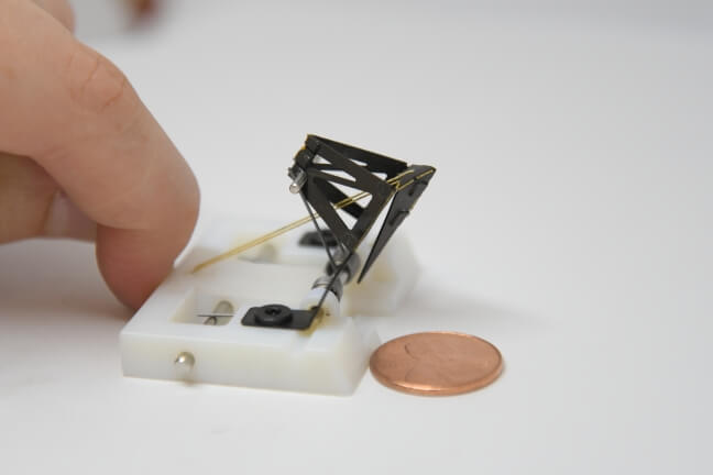 This image shows the strike of a shrimp-scale robot. 