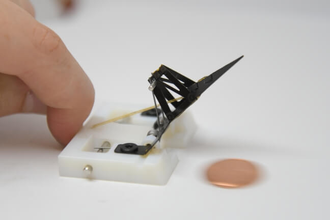 This image shows the strike of a shrimp-scale robot
