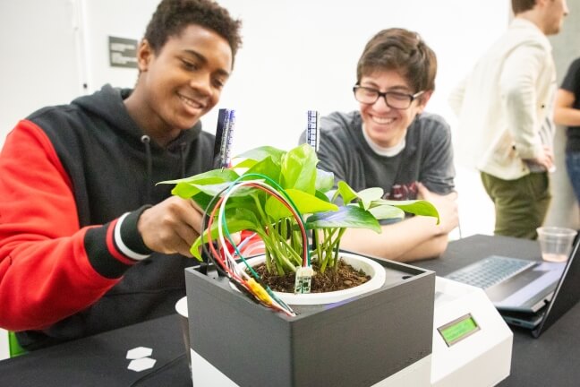 Design Fair plant watering device