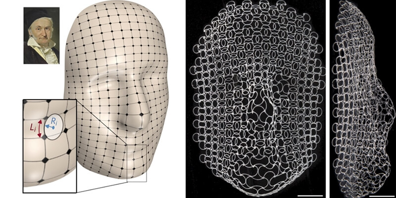 On the left, a portrait of Carl Friedrich Gauss. On the right, the shape shifted lattice of the experiment matching the curves of Gauss's face.