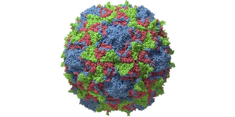 Illustration of a virus 