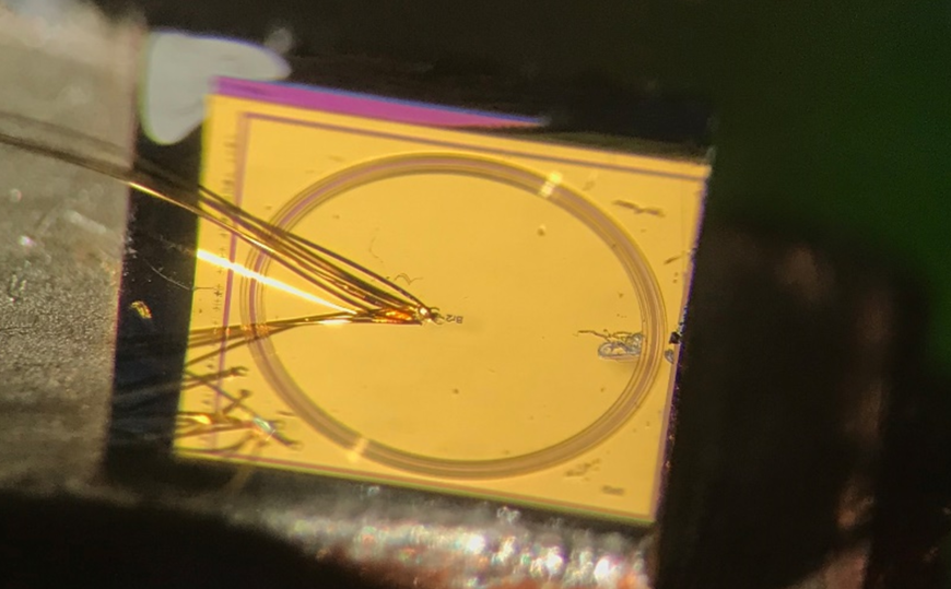 Microscope image of a ring laser