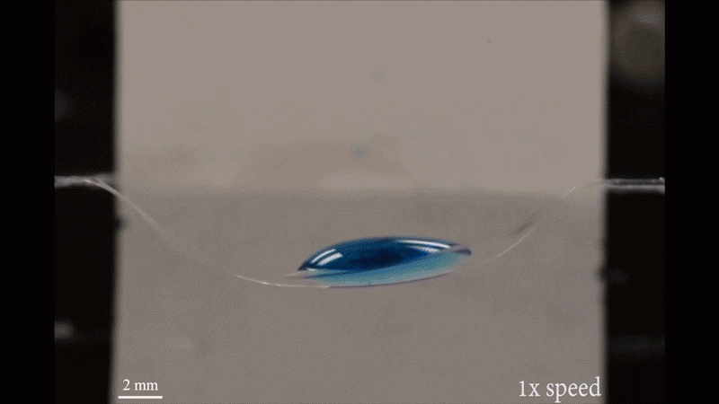 gif of droplet moving back and forth