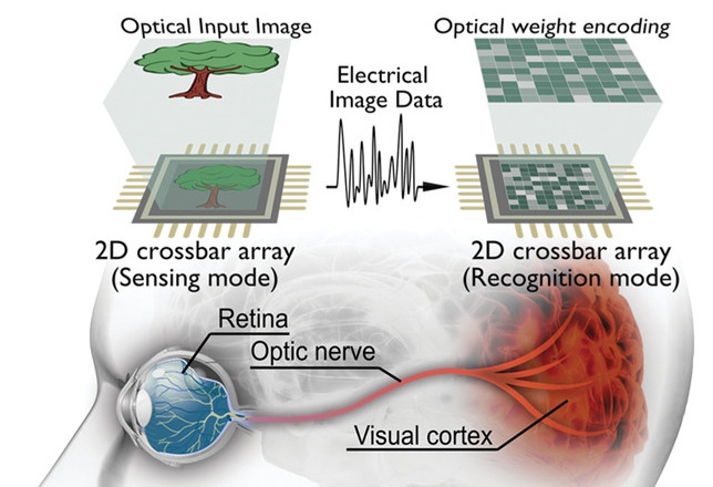 First 2D Neural Network