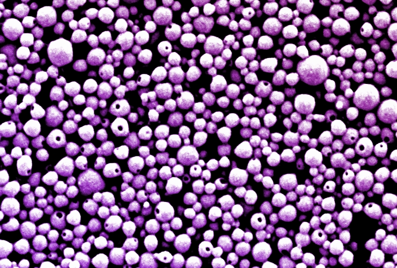 image of ImmunoBait particles 