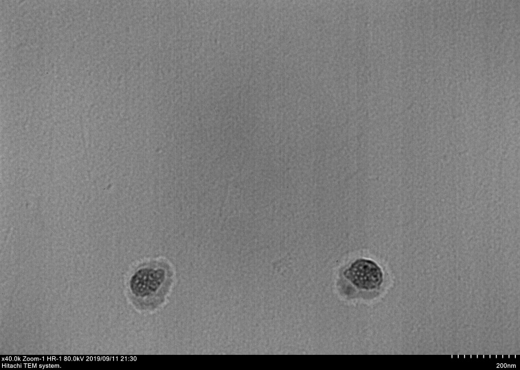 SEM image of the ionic liquid coating the nanoparticle