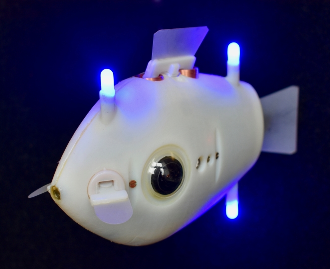 image of a Bluebot with LED lights