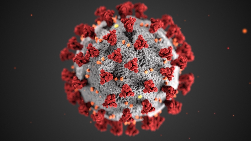 image of coronavirus 