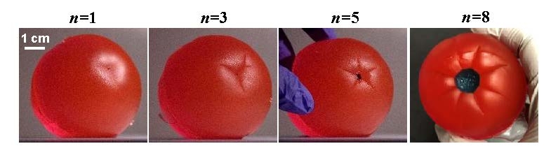 image of gel apple
