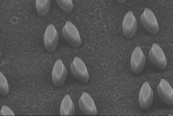 An SEM image of the silicon nanoresonators
