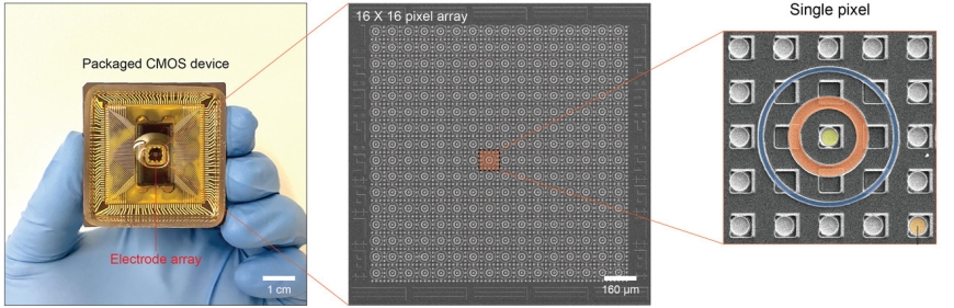 A CMOS chip with an array of individual ionic transistors