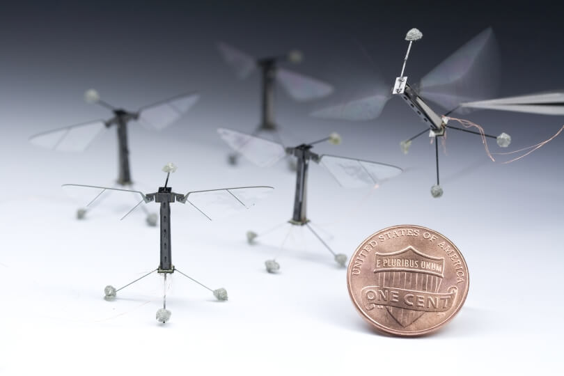 Five black Robobees with transparent wings are displayed next to a penny.