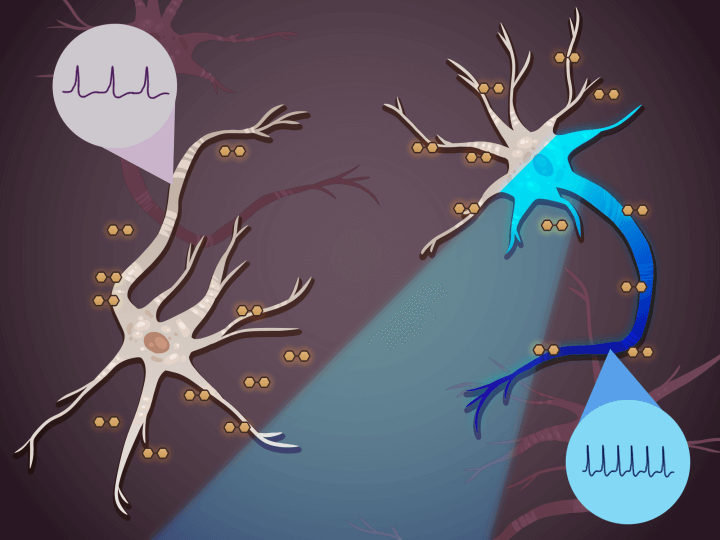 illustration of neuron illuminated with light