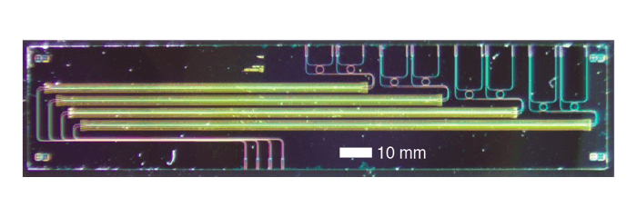 image of the electro-optic isolator chip 