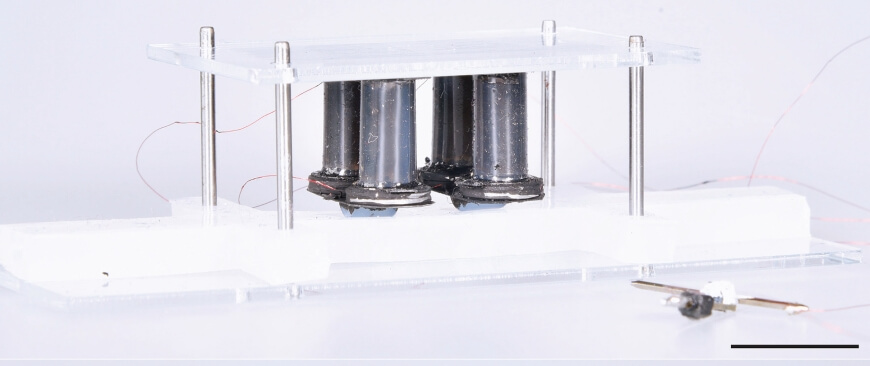 image of the dual dielectric elastomer actuator-based soft peristaltic pump