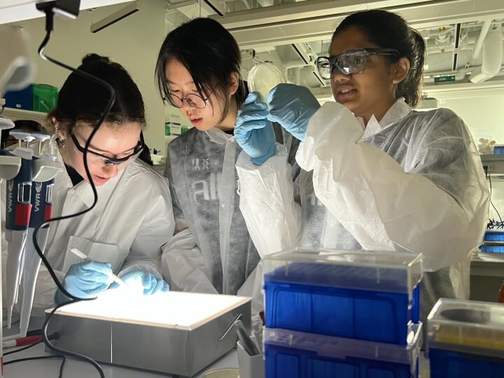 Three high school students wearing white lab coats stand over a gene editing experiment