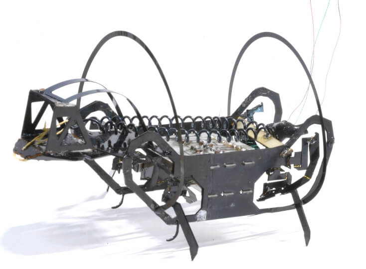 バネのように跳ねる極小ロボットを開発（A Springtail-Like Jumping Robot）