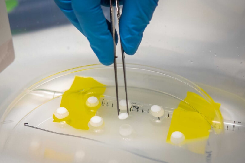 A yellow hydrogel