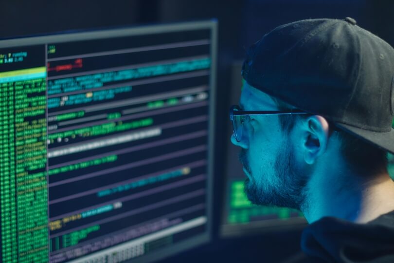 Top Career Paths for Data Science Graduates