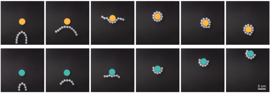 粒子連結型ロボットによる新たな移動技術（Robots Made of Linked Particle Chains）