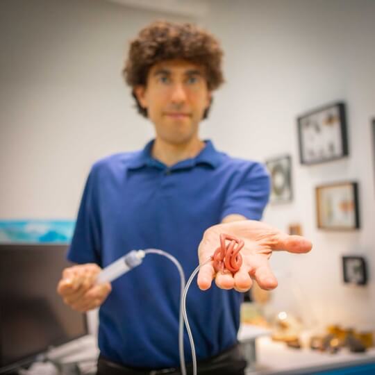 ワームから着想を得たロボットの集合行動（What a Tangled Robot We Weave）