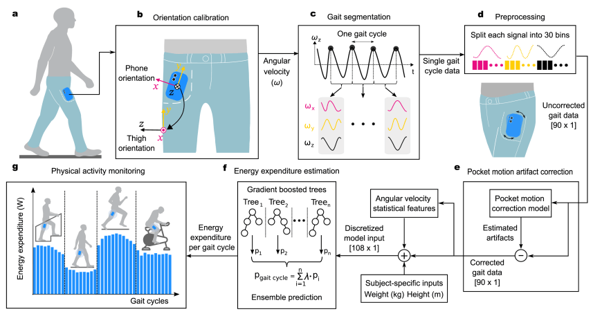 schematic of pocket motion artifact correction model 