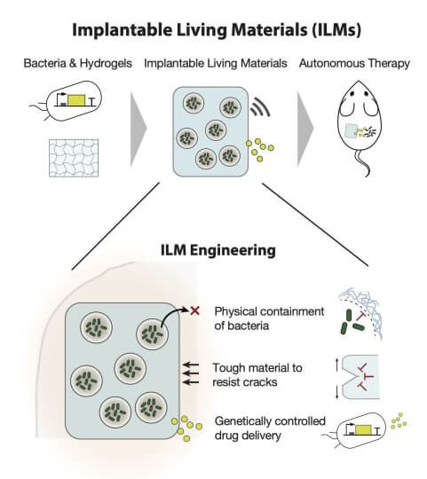 illustration of how implantable living materials are designed