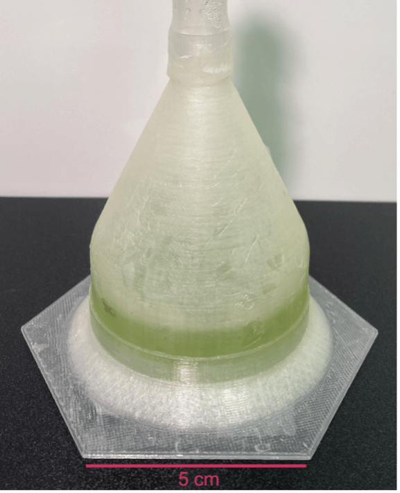 bioplastic container with algae growing inside