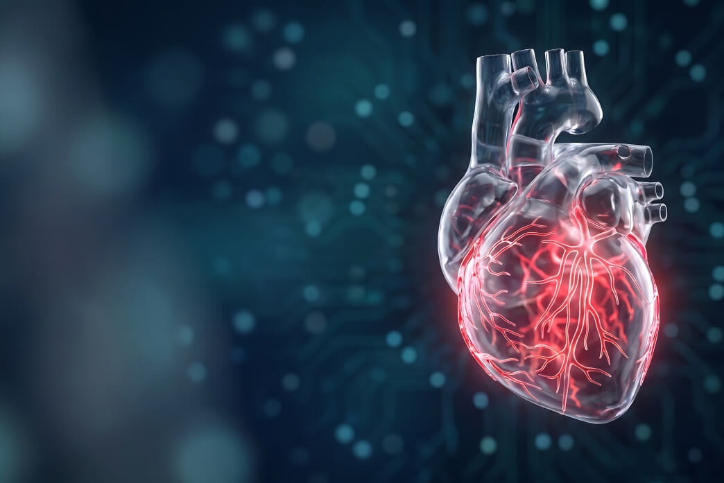 A 3D digital rendering of a transparent human heart with glowing red coronary blood vessels against a dark blue, digital circuit background.