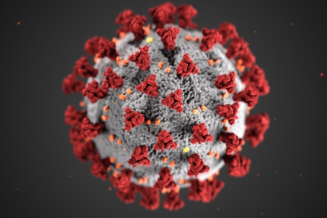 image of coronavirus 