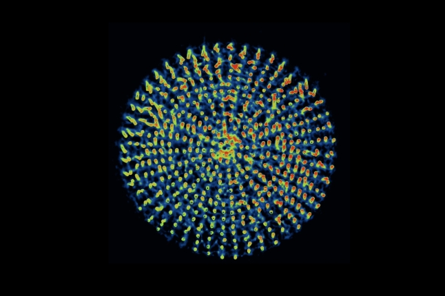 image of microstructures arranged in a circle and colorized 