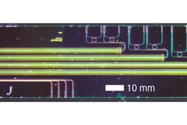 image of the electro-optic isolator chip 
