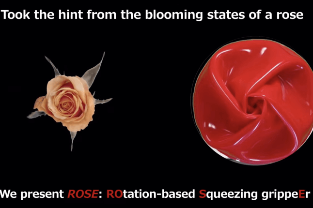 A peach-colored rose alongside a red soft robotic gripper folded to mimic the layout of the rose's petals