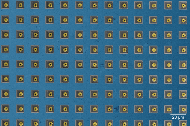 microhole electrode array