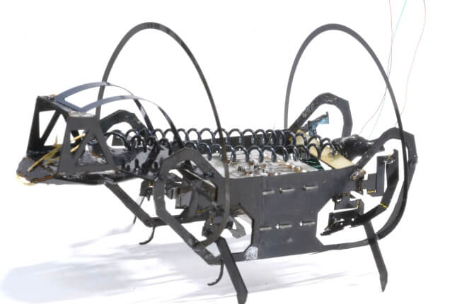 detail view of springtail-inspired microrobot