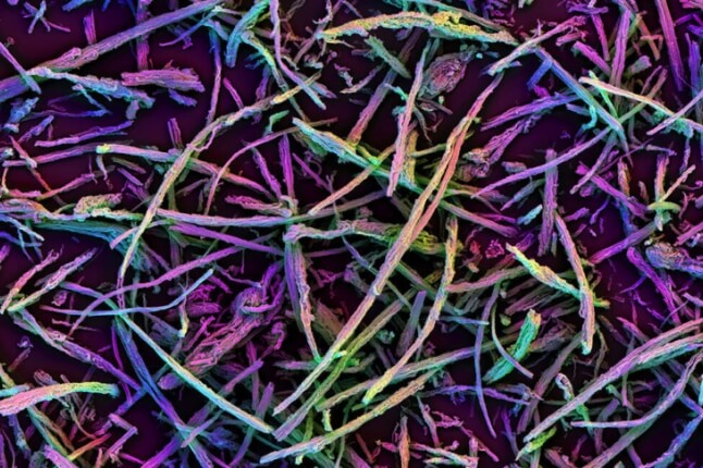 image of MSR biomaterial scaffolds