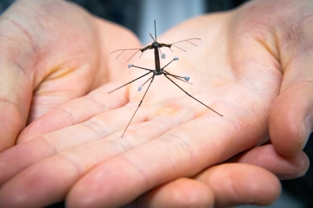 RoboBee in hands