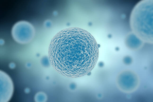 illustration of cells