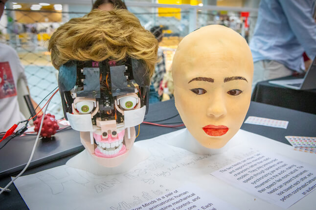 Design Fair masks