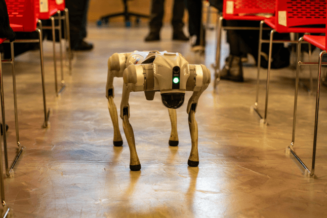 robot dog in a classroom